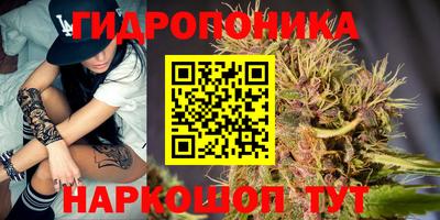 крисы Янаул