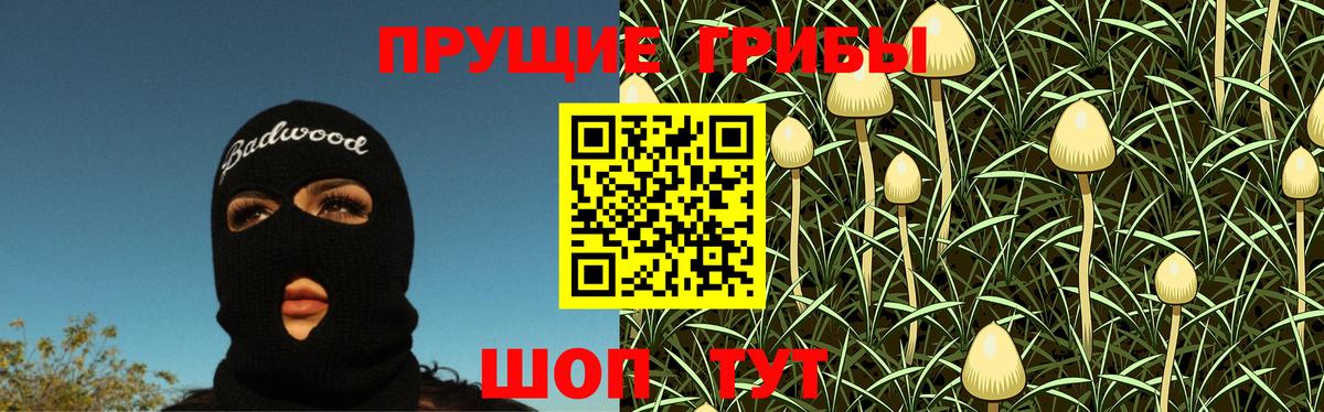 Бийск  Галлюциногенные грибы Psilocybine cubensis  Псилоцибиновые грибы Cubensis  Вход с VPN 