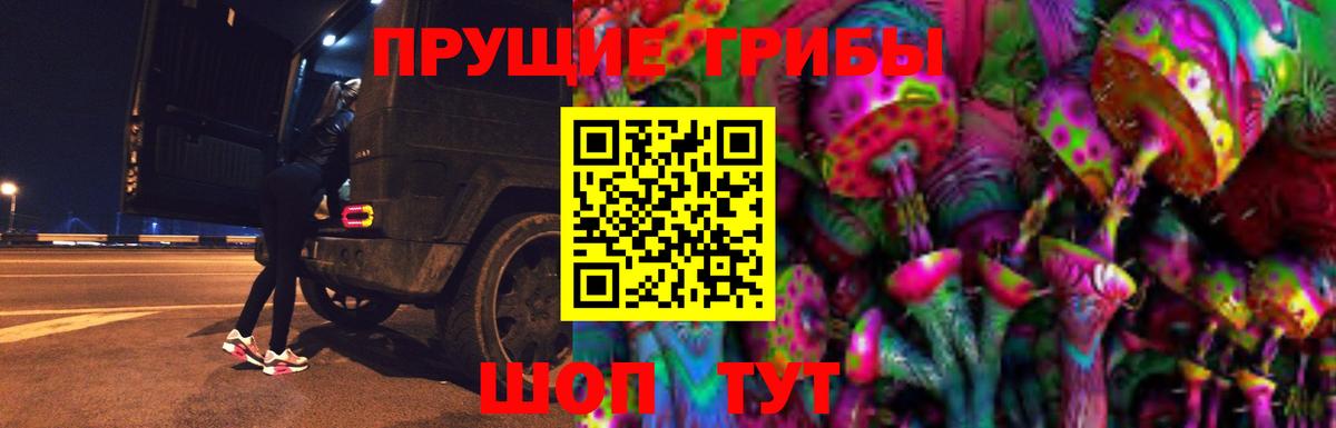 Псилоцибиновые грибы Psilocybe Бийск
